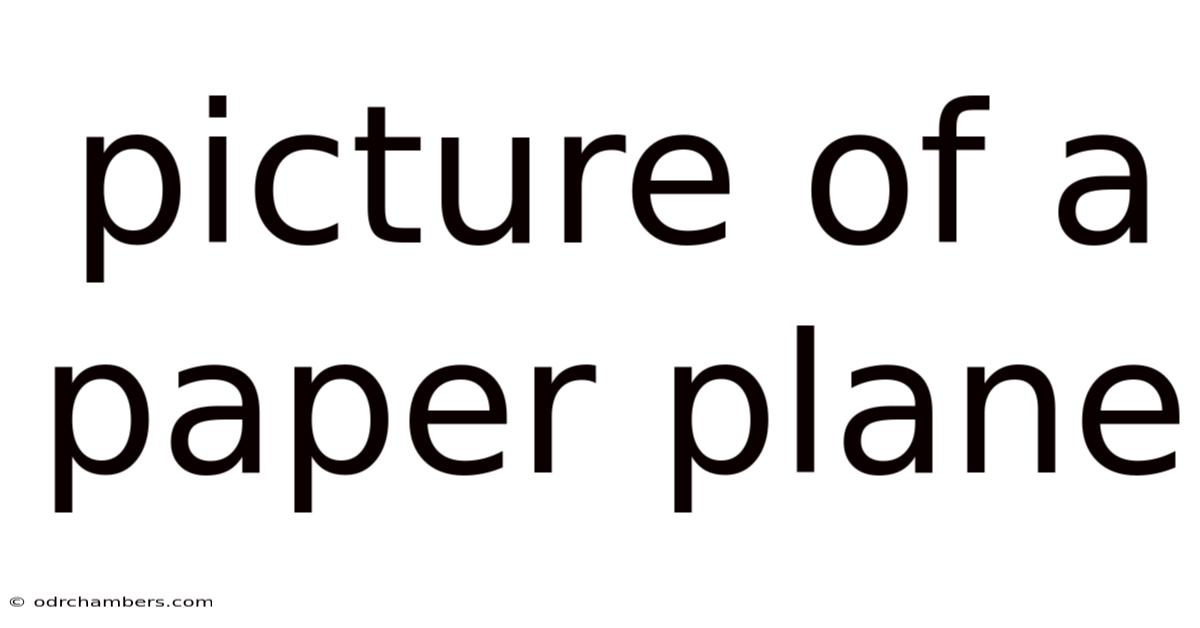 Picture Of A Paper Plane
