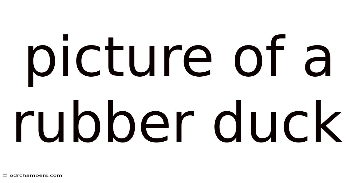 Picture Of A Rubber Duck