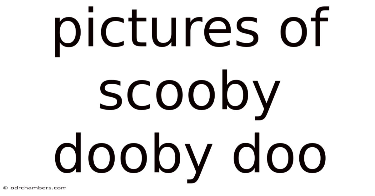 Pictures Of Scooby Dooby Doo