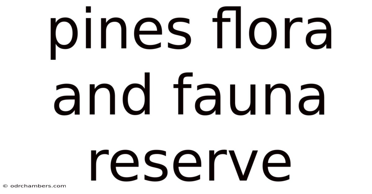 Pines Flora And Fauna Reserve