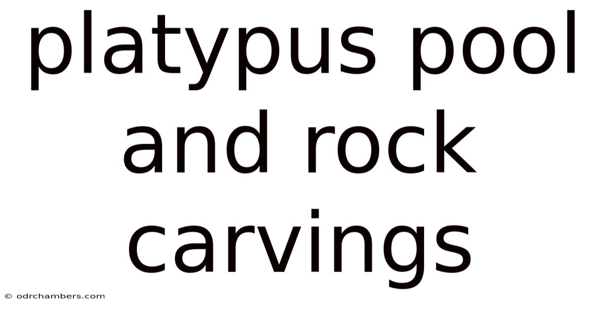 Platypus Pool And Rock Carvings