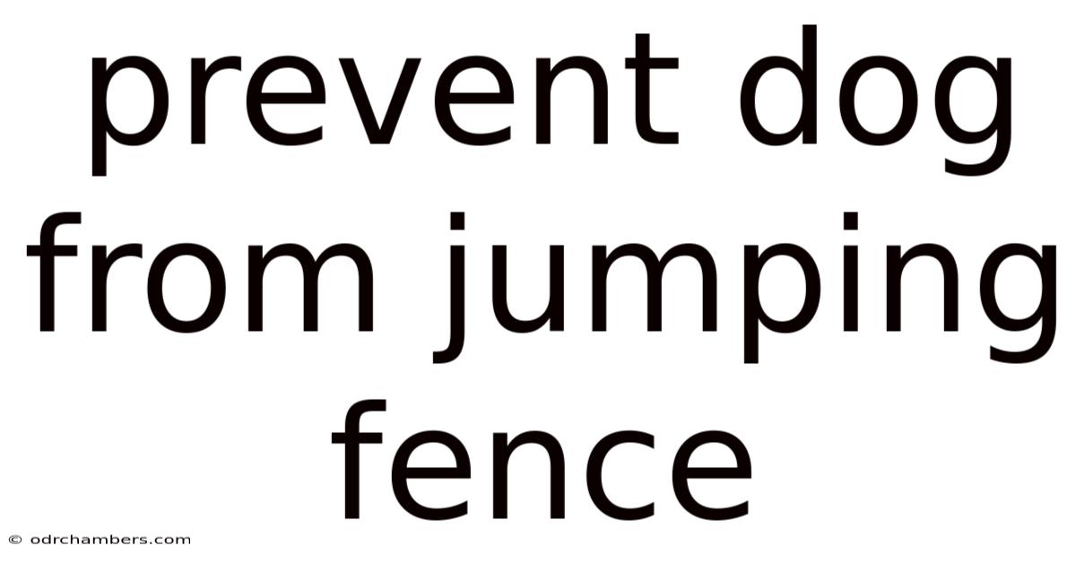 Prevent Dog From Jumping Fence