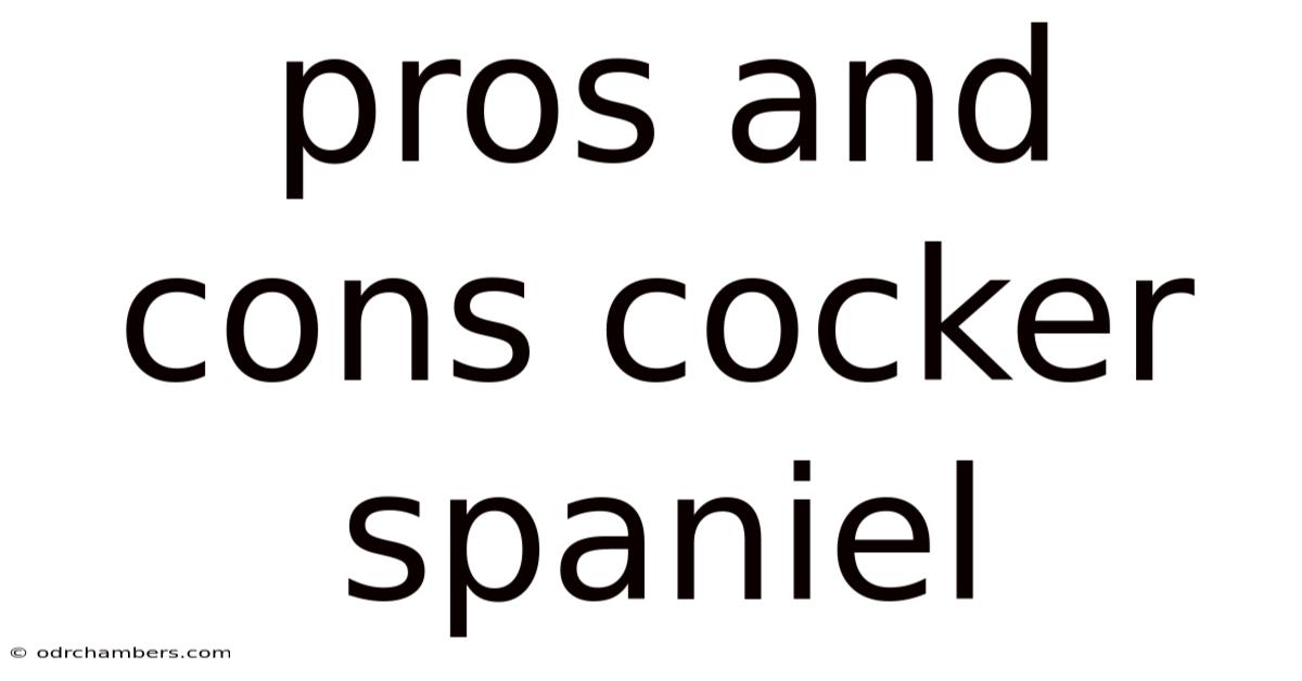 Pros And Cons Cocker Spaniel