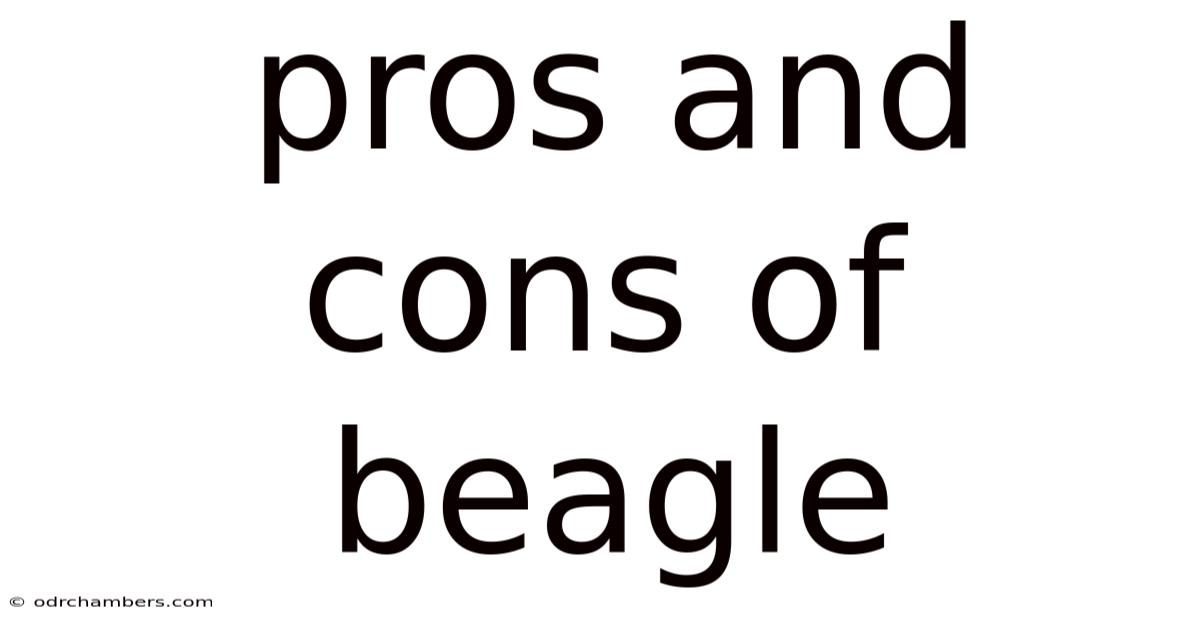 Pros And Cons Of Beagle