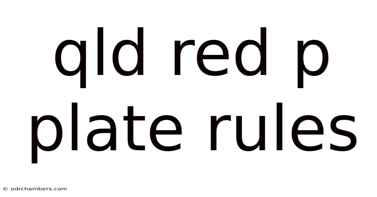 Qld Red P Plate Rules
