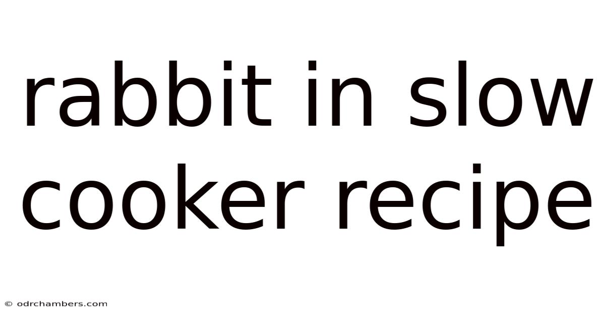 Rabbit In Slow Cooker Recipe