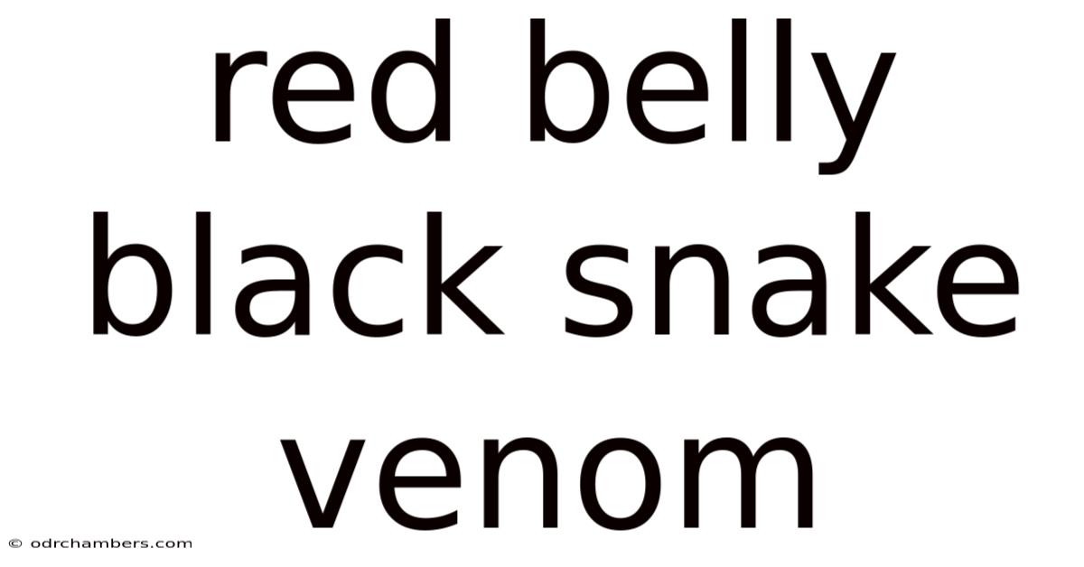 Red Belly Black Snake Venom