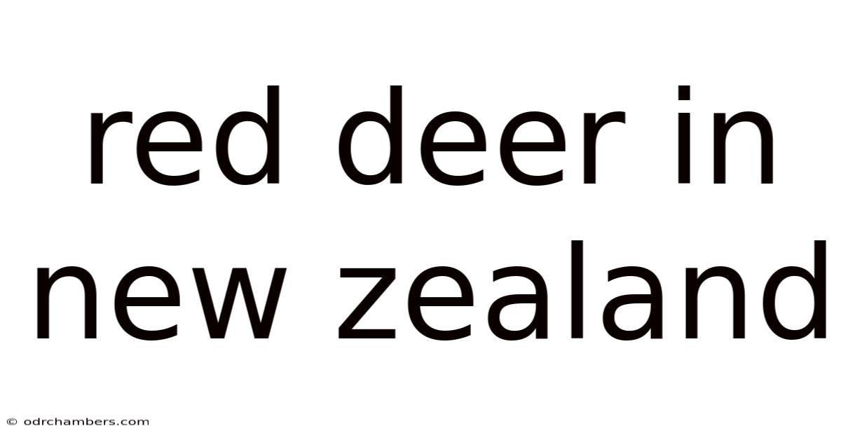 Red Deer In New Zealand