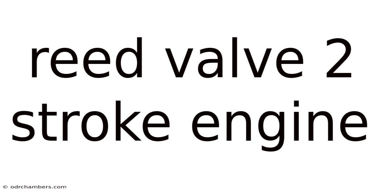 Reed Valve 2 Stroke Engine