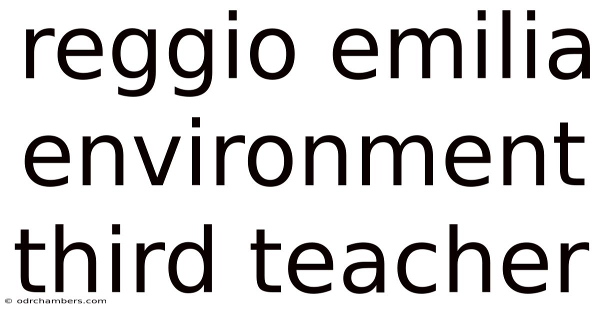 Reggio Emilia Environment Third Teacher