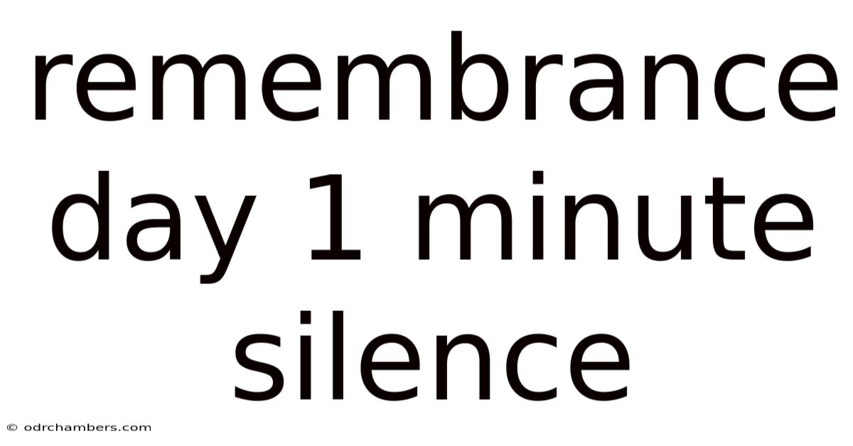 Remembrance Day 1 Minute Silence