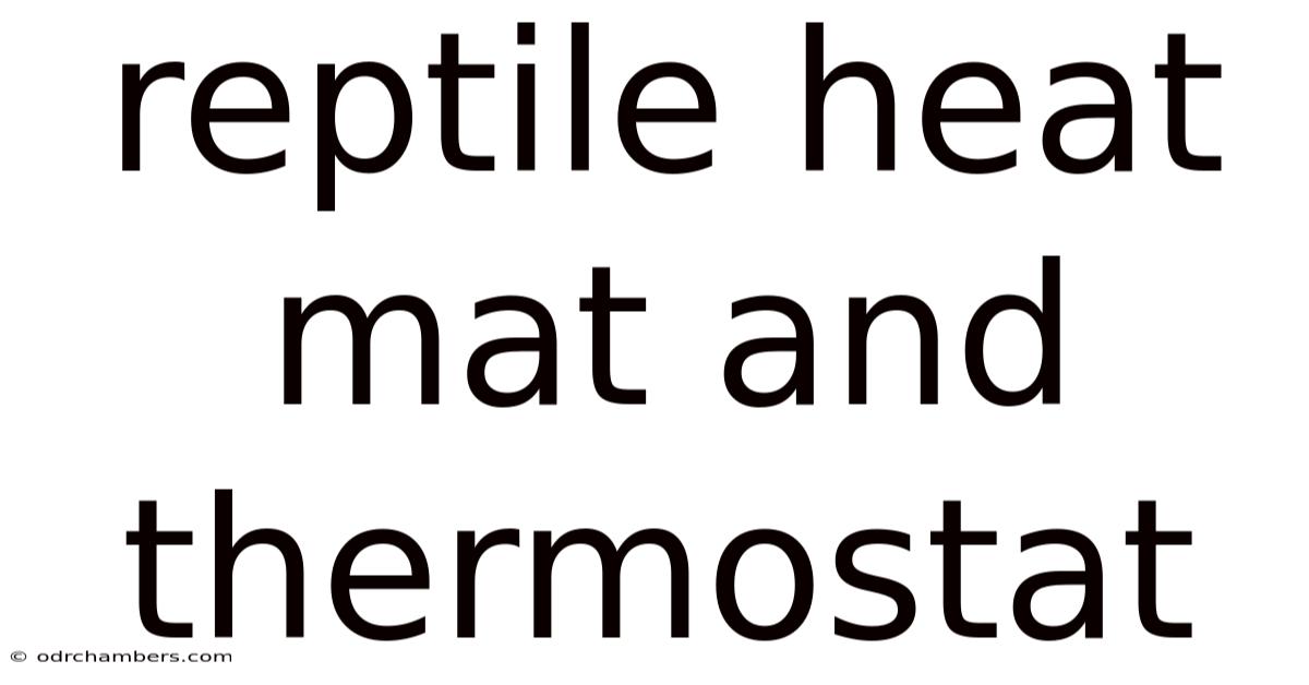 Reptile Heat Mat And Thermostat