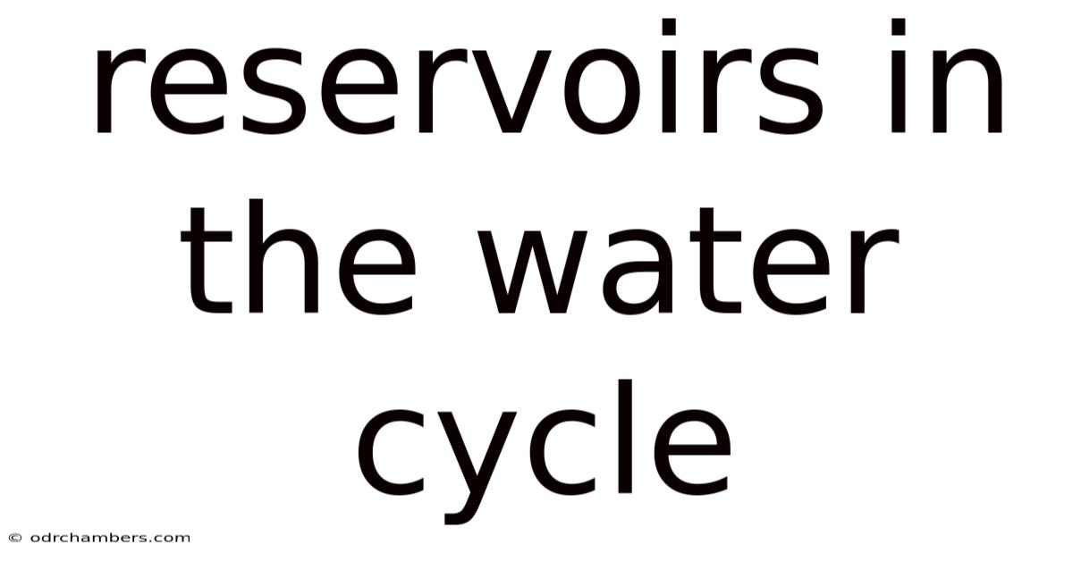 Reservoirs In The Water Cycle
