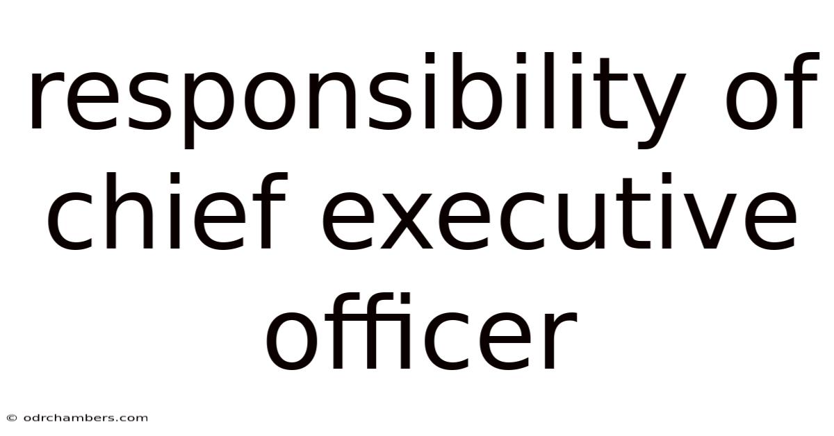 Responsibility Of Chief Executive Officer