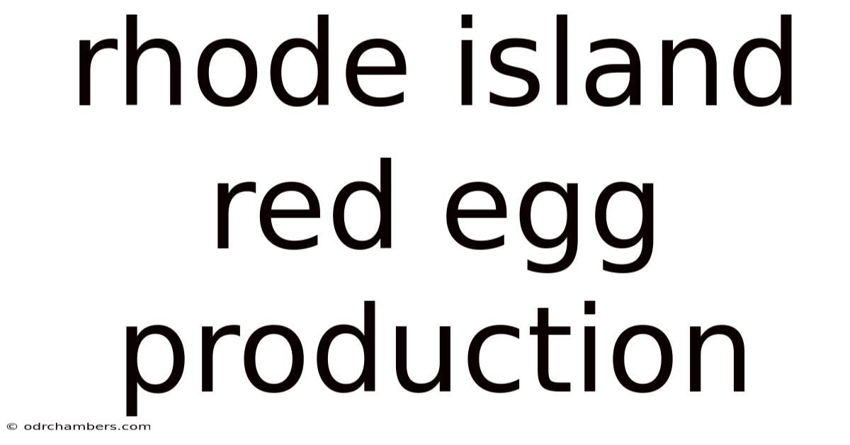 Rhode Island Red Egg Production