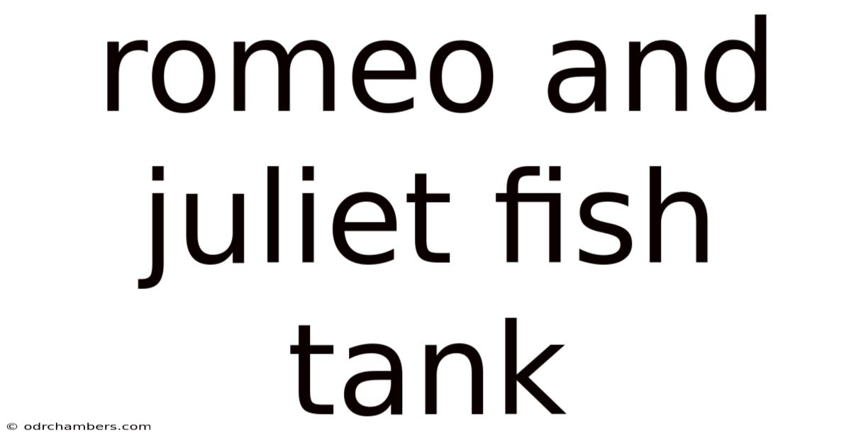 Romeo And Juliet Fish Tank