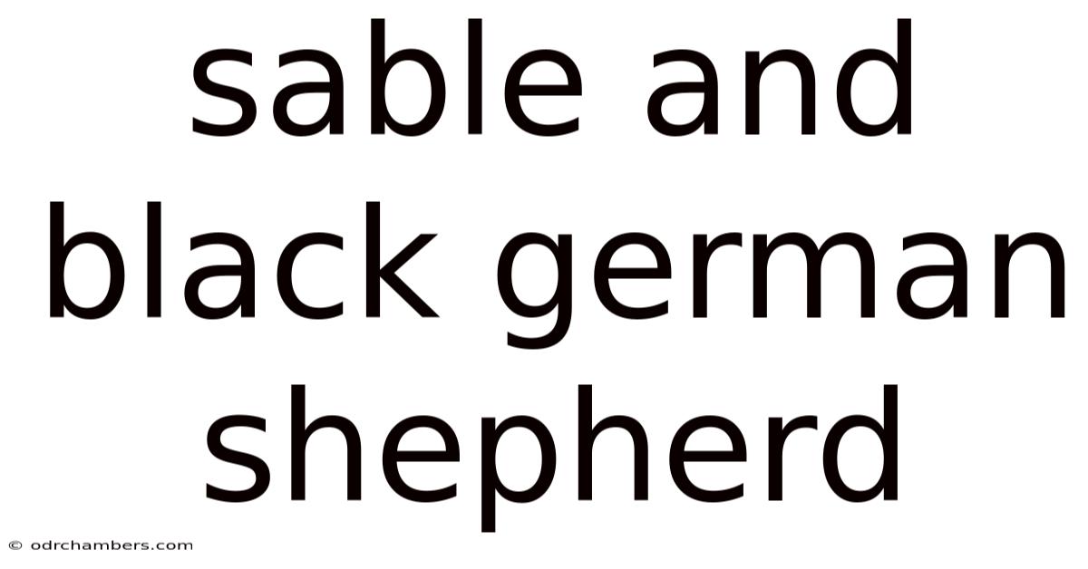 Sable And Black German Shepherd