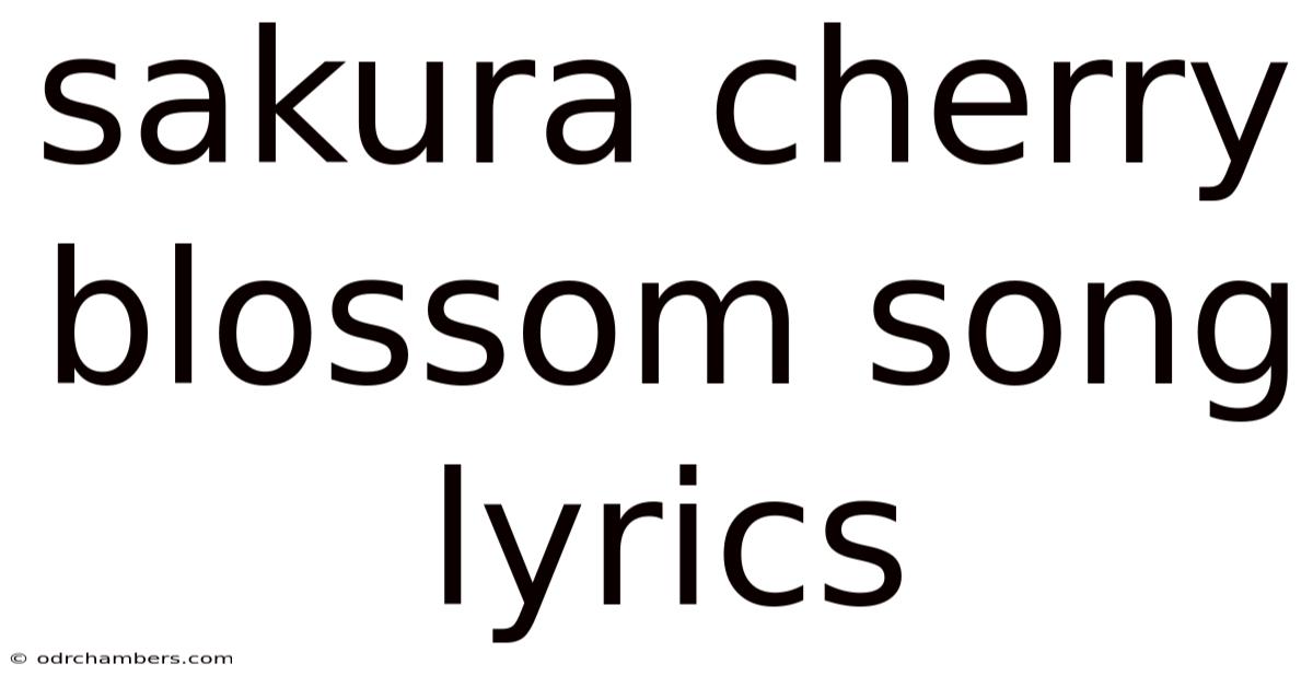 Sakura Cherry Blossom Song Lyrics