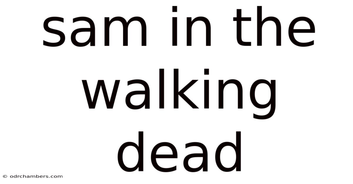 Sam In The Walking Dead