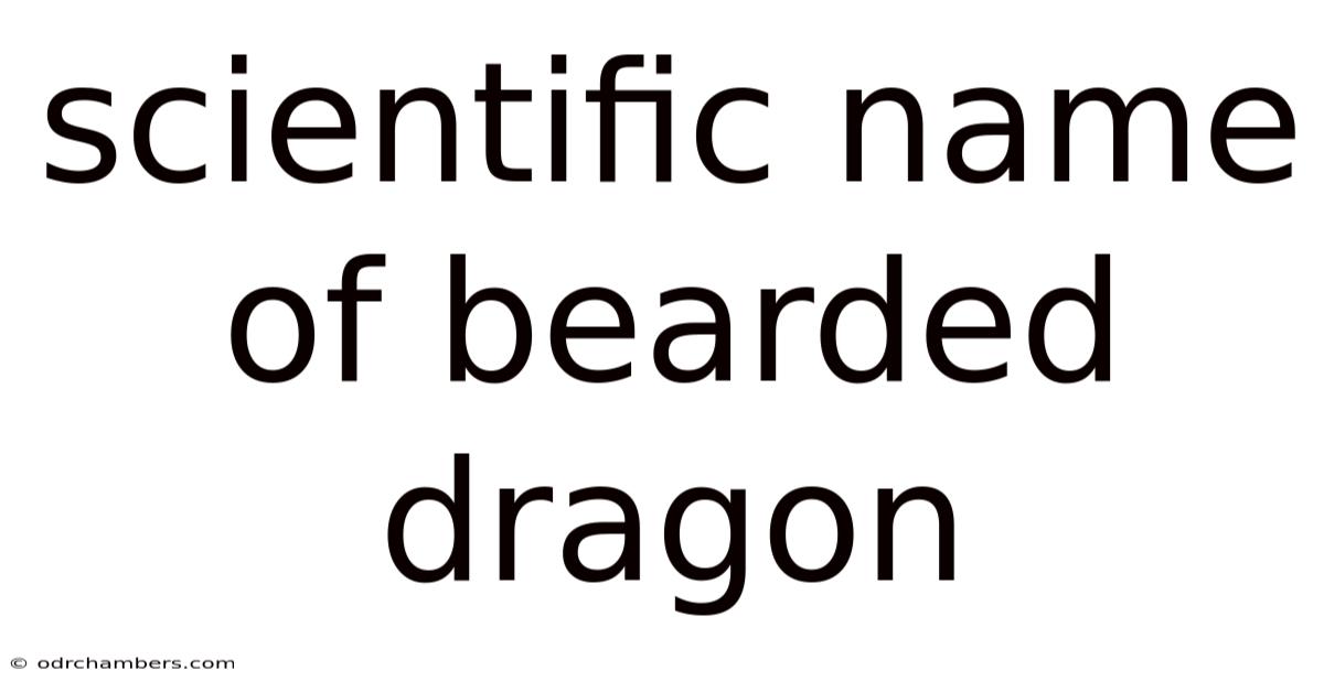 Scientific Name Of Bearded Dragon