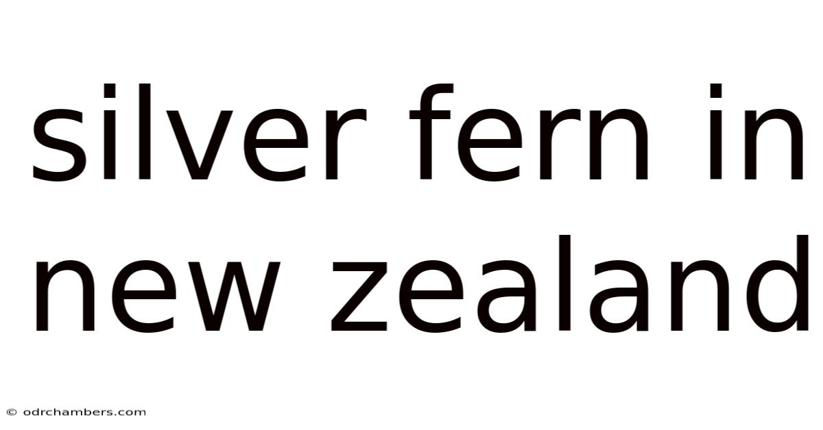 Silver Fern In New Zealand