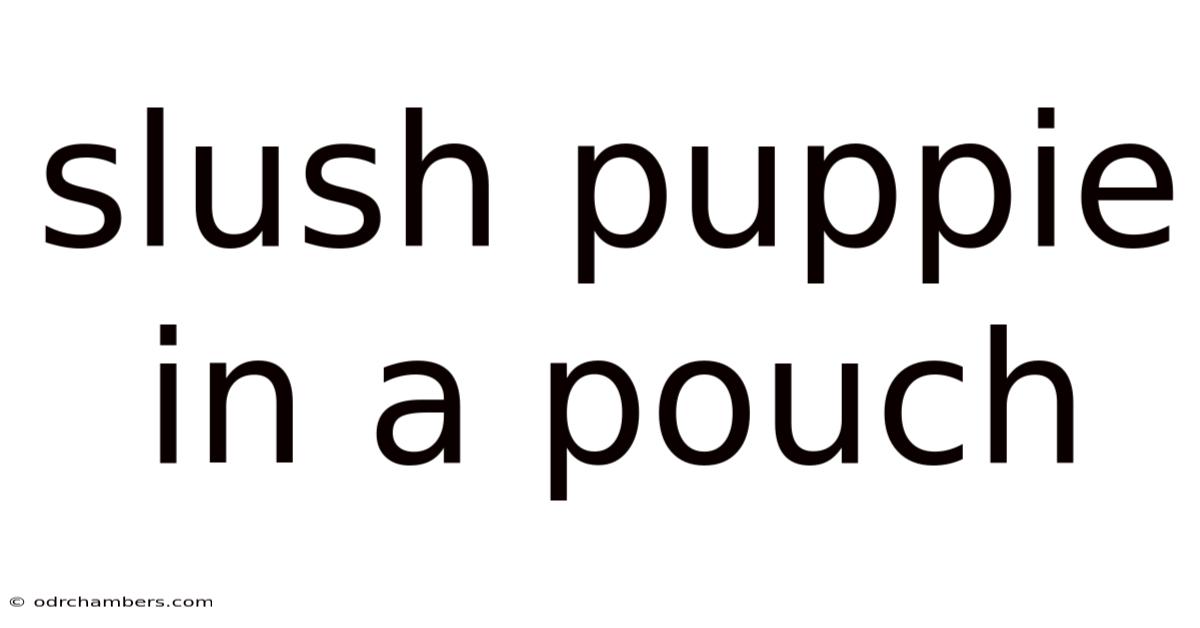 Slush Puppie In A Pouch