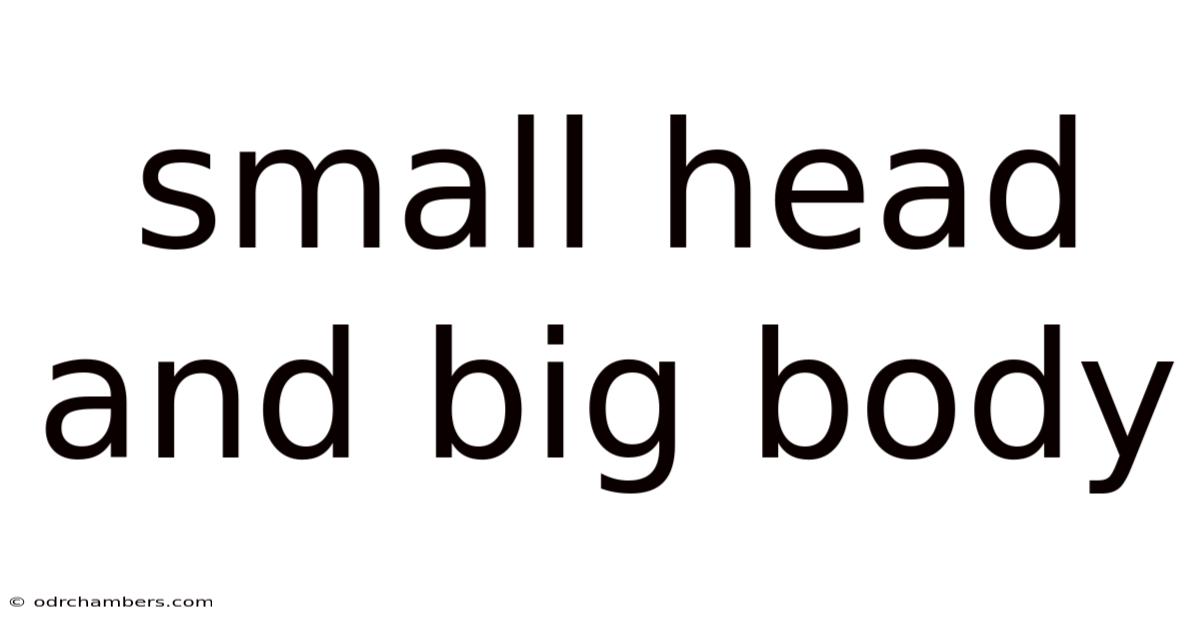Small Head And Big Body