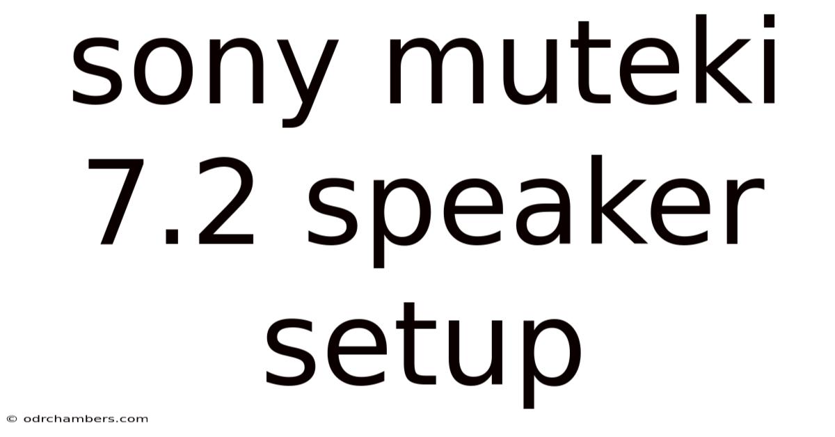 Sony Muteki 7.2 Speaker Setup