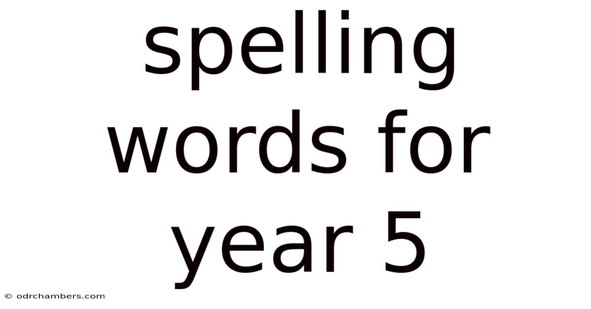 Spelling Words For Year 5