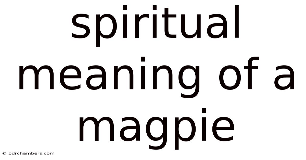 Spiritual Meaning Of A Magpie