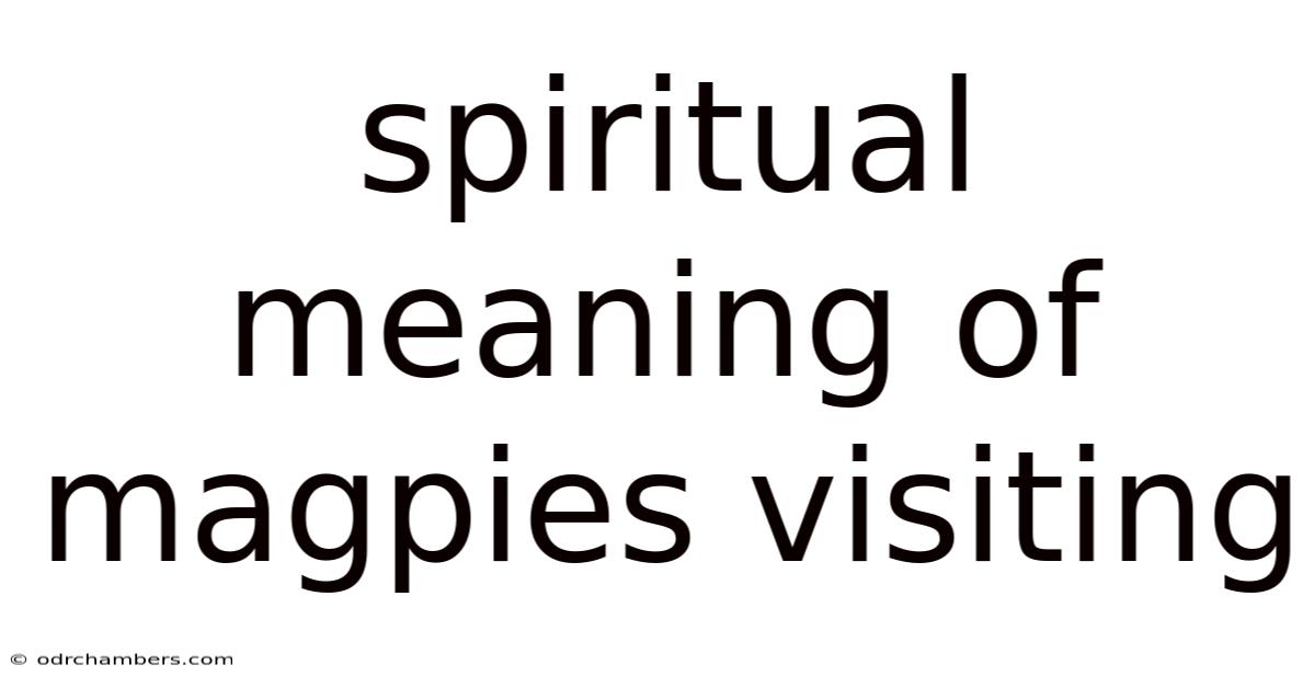Spiritual Meaning Of Magpies Visiting