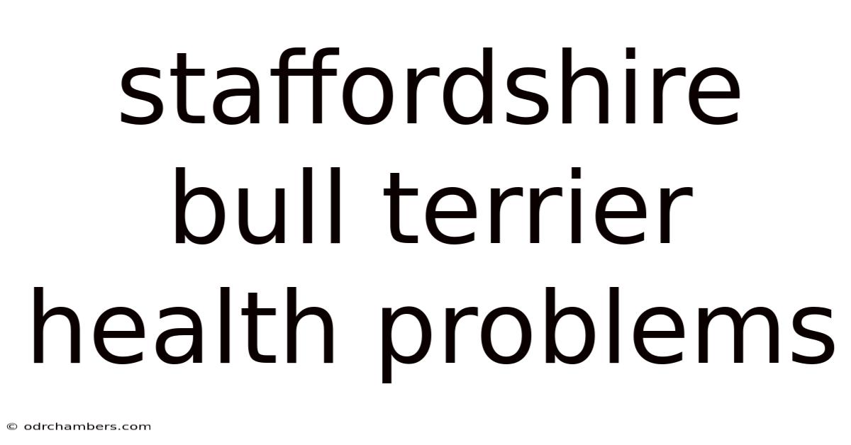 Staffordshire Bull Terrier Health Problems