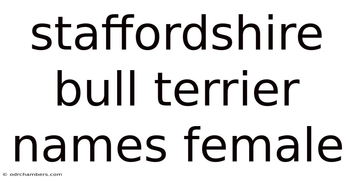 Staffordshire Bull Terrier Names Female