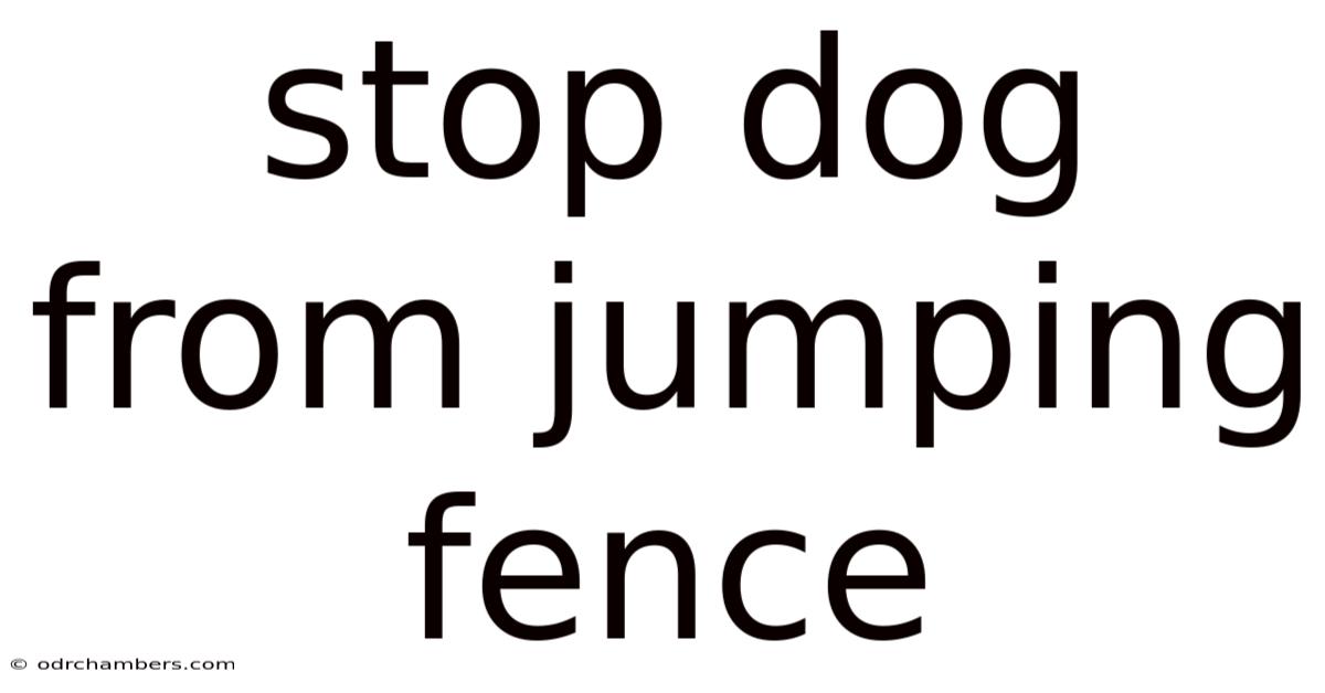 Stop Dog From Jumping Fence