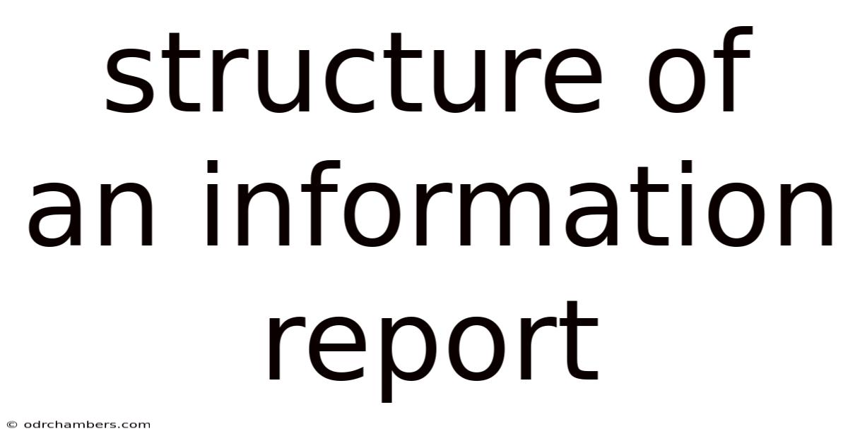 Structure Of An Information Report