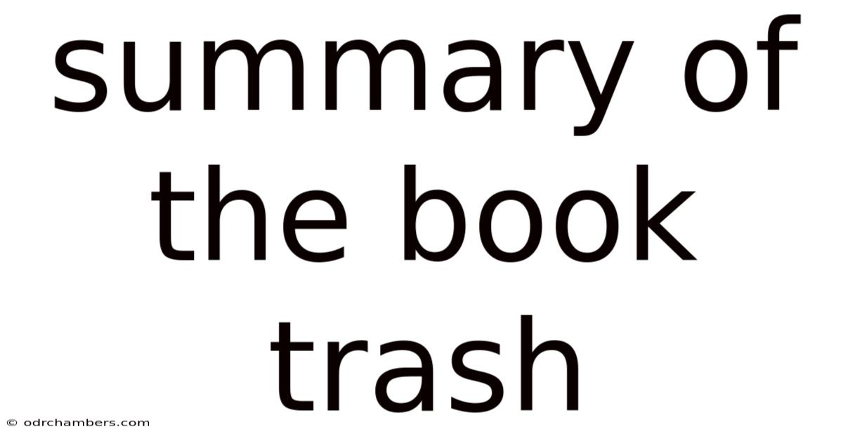 Summary Of The Book Trash