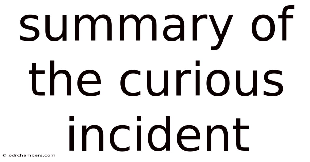 Summary Of The Curious Incident
