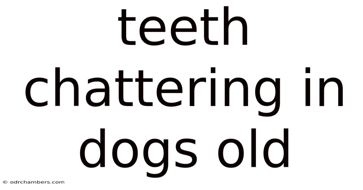 Teeth Chattering In Dogs Old