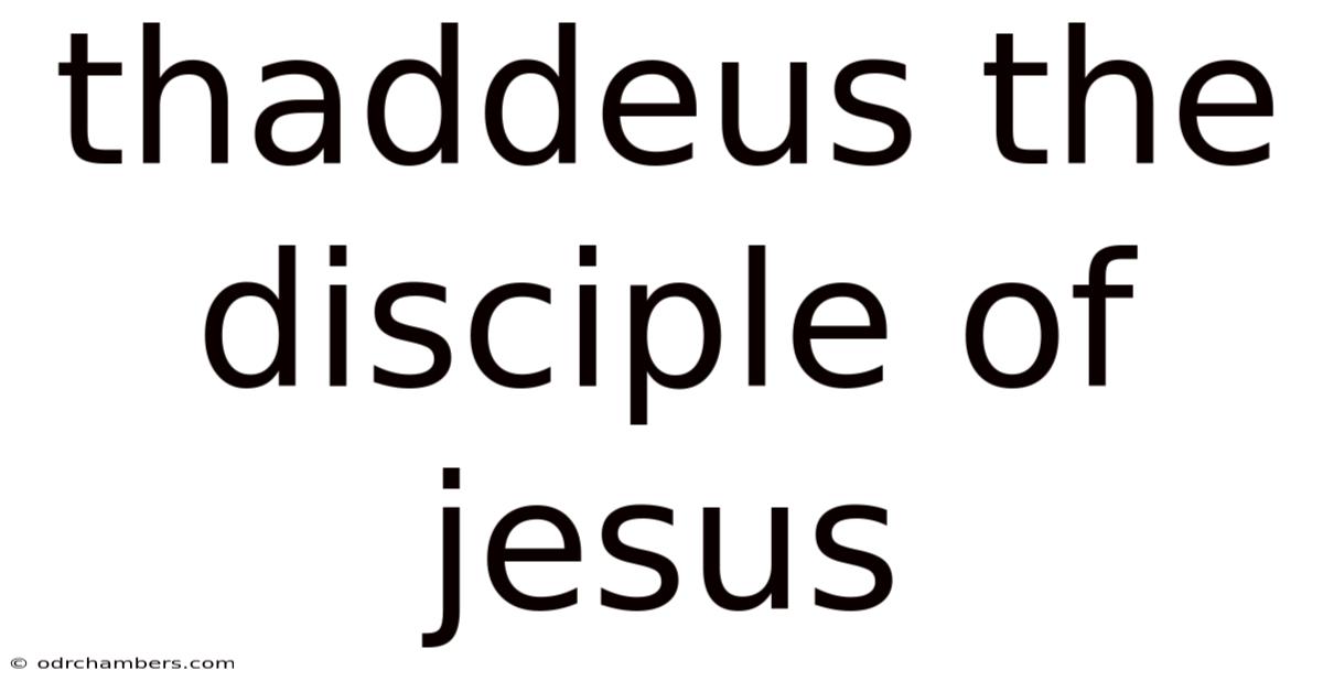 Thaddeus The Disciple Of Jesus