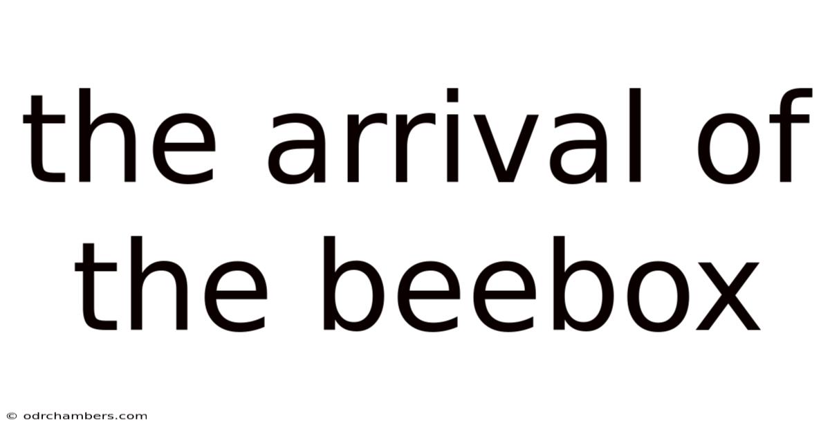 The Arrival Of The Beebox