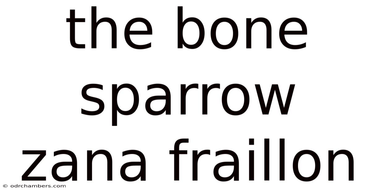The Bone Sparrow Zana Fraillon