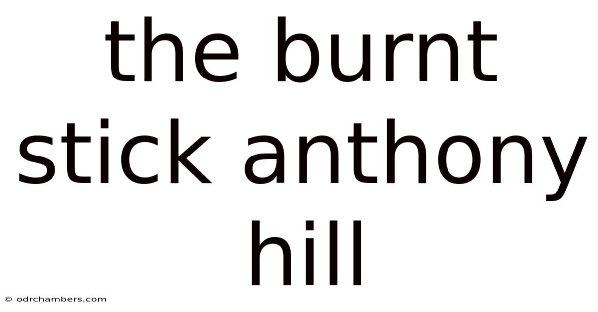 The Burnt Stick Anthony Hill