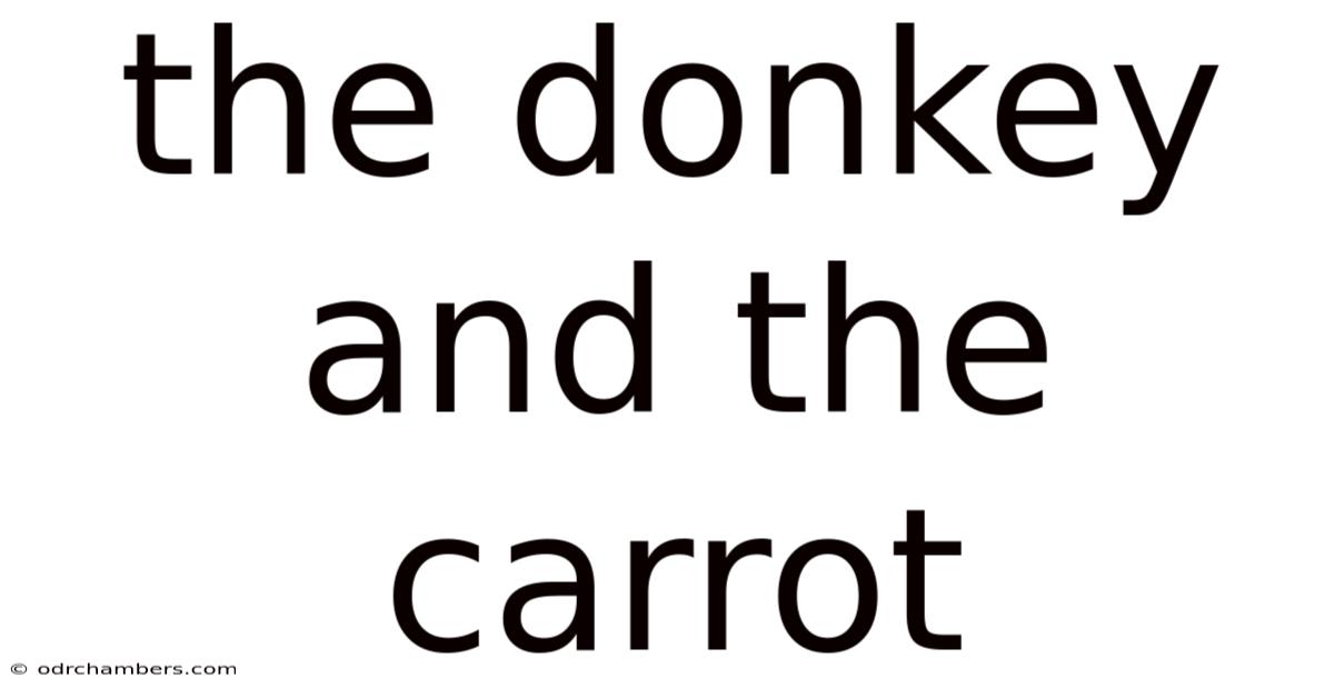 The Donkey And The Carrot
