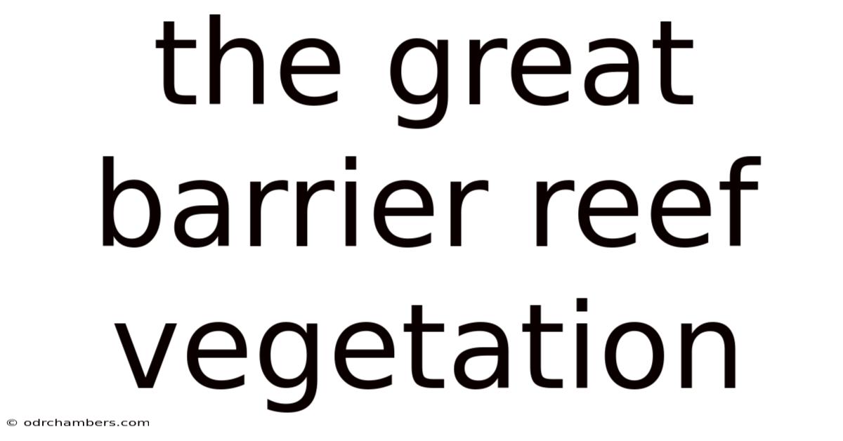 The Great Barrier Reef Vegetation