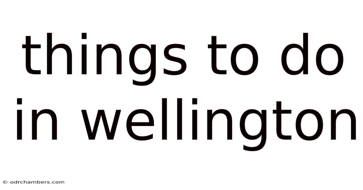 Things To Do In Wellington