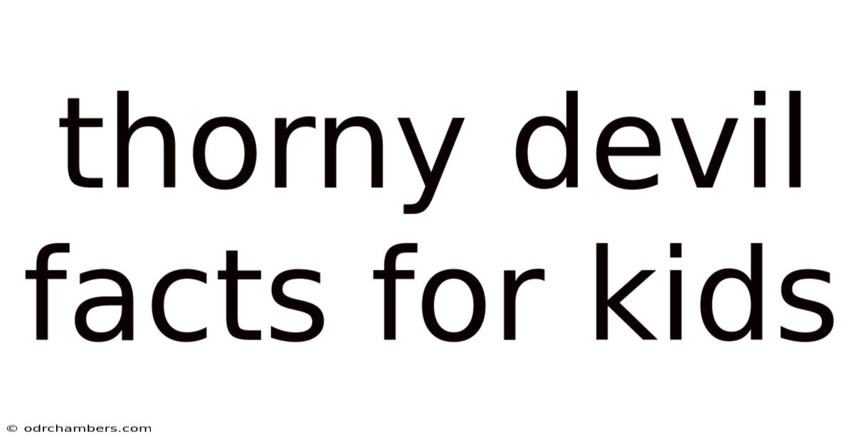 Thorny Devil Facts For Kids