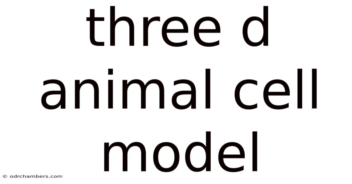 Three D Animal Cell Model