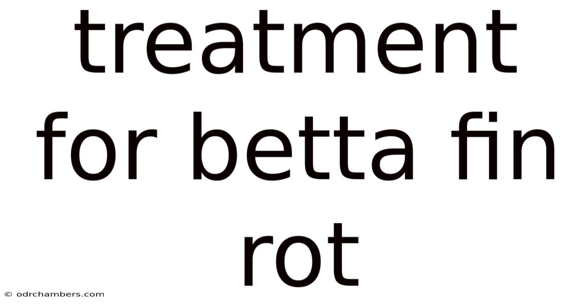 Treatment For Betta Fin Rot