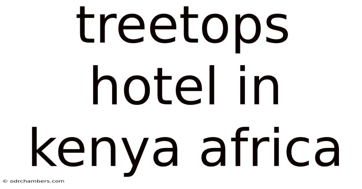 Treetops Hotel In Kenya Africa