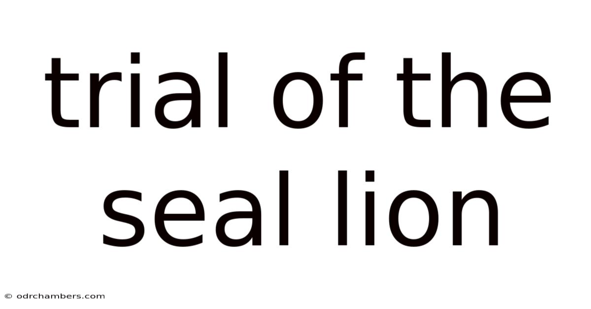 Trial Of The Seal Lion